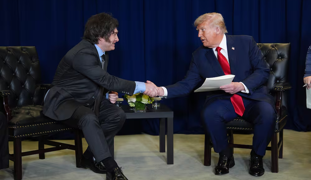 El apoyo de Donald Trump a Javier Milei generó un repunte en su imagen digital