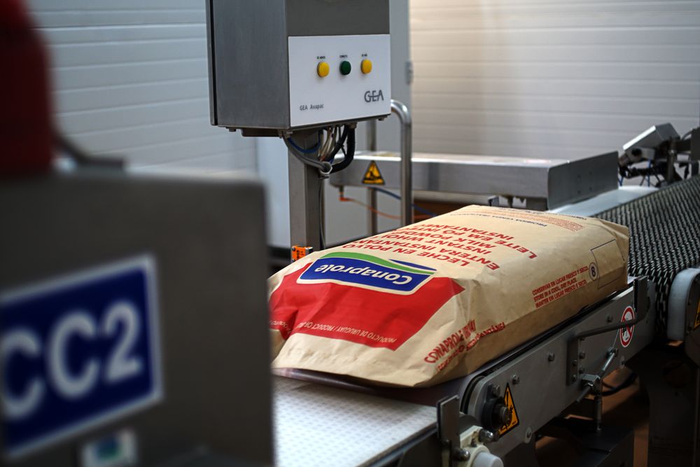 Exportaciones de lácteos: lidera la leche en polvo entera.