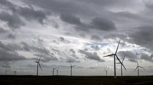 Las plantas de energía eólica y solar se ven desplazadas en el mix energético por el gas, enfrentan cortes forzosos de producción para no sobrecargar la red y ante la escasez de demanda, lidian con muchas horas de precios muy bajos o negativos de la electricidad. La nueva medida hace la ecuación económica casi inviable para muchas.&nbsp;