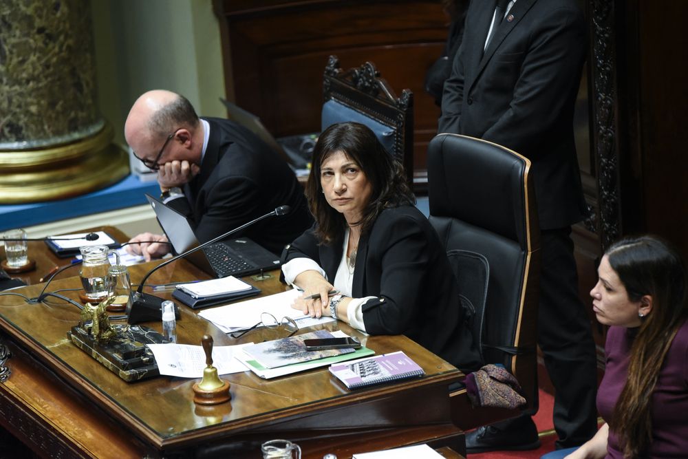 20250813  Blanca Rodríguez. Interpelación al ministro Fratti en el senado.