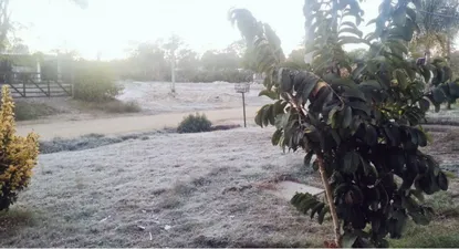 uruguay registro temperaturas de 5 grados bajo cero: ¿donde hizo mas frio?