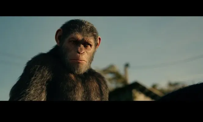 Los monos dicen adiós a una trilogía humana