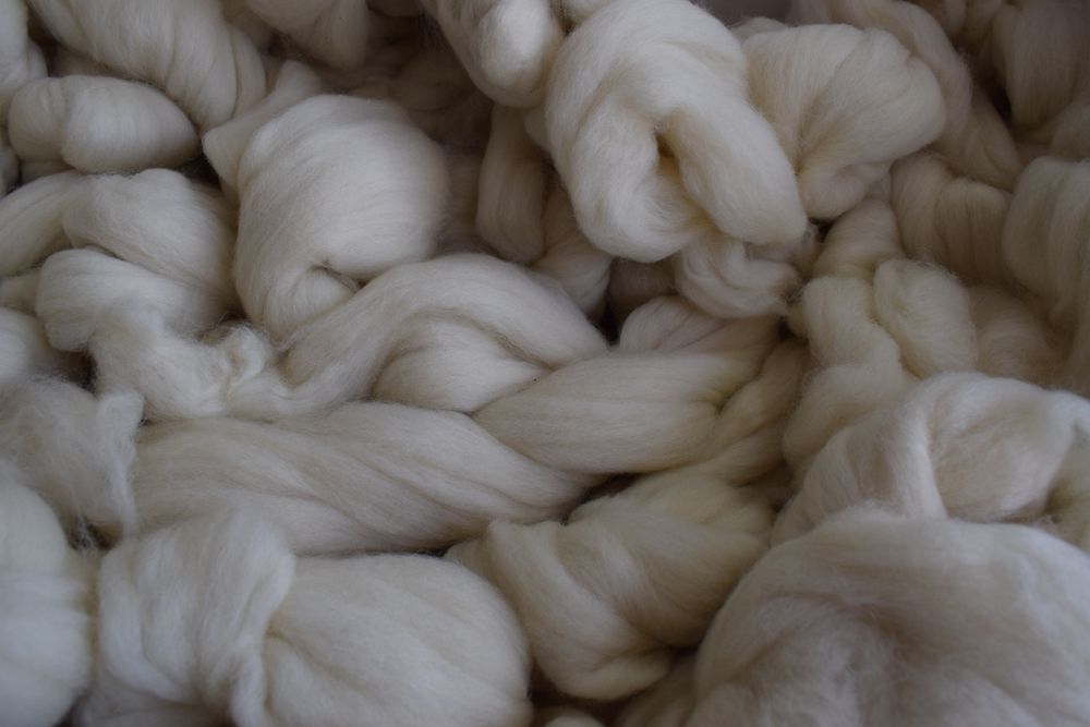 Lanas, producto clave en la ovinocultura uruguaya.