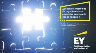 ¿El control interno de su organización se encuentra en armonía con el negocio?