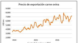 Carne ovina: repunte en los valores.