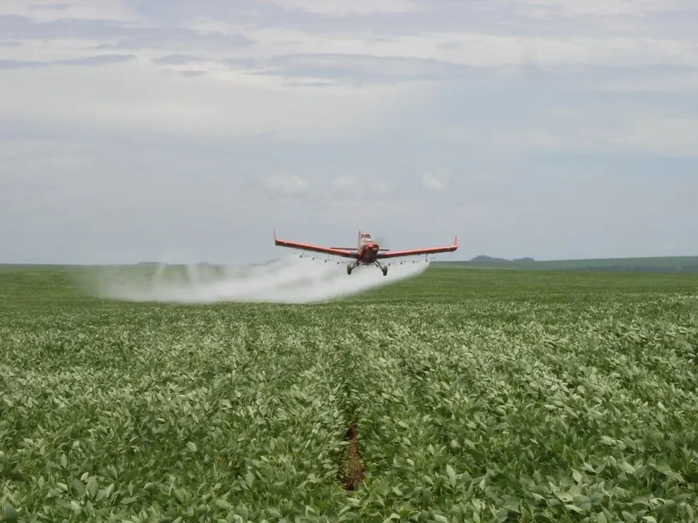 Caerían los márgenes para los agricultores brasileños.