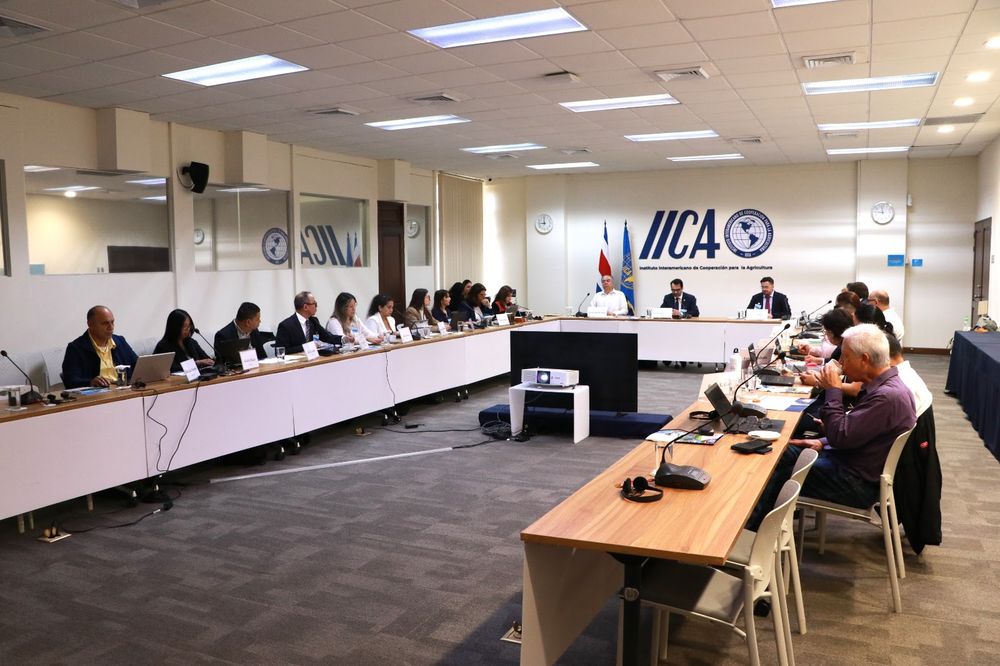 IICA informó que el objetivo central del taller fue promover una estructura de apoyo sólida que permita facilitar el comercio intrarregional, promoviendo así un entorno más competitivo para los productos agrícolas de la región.