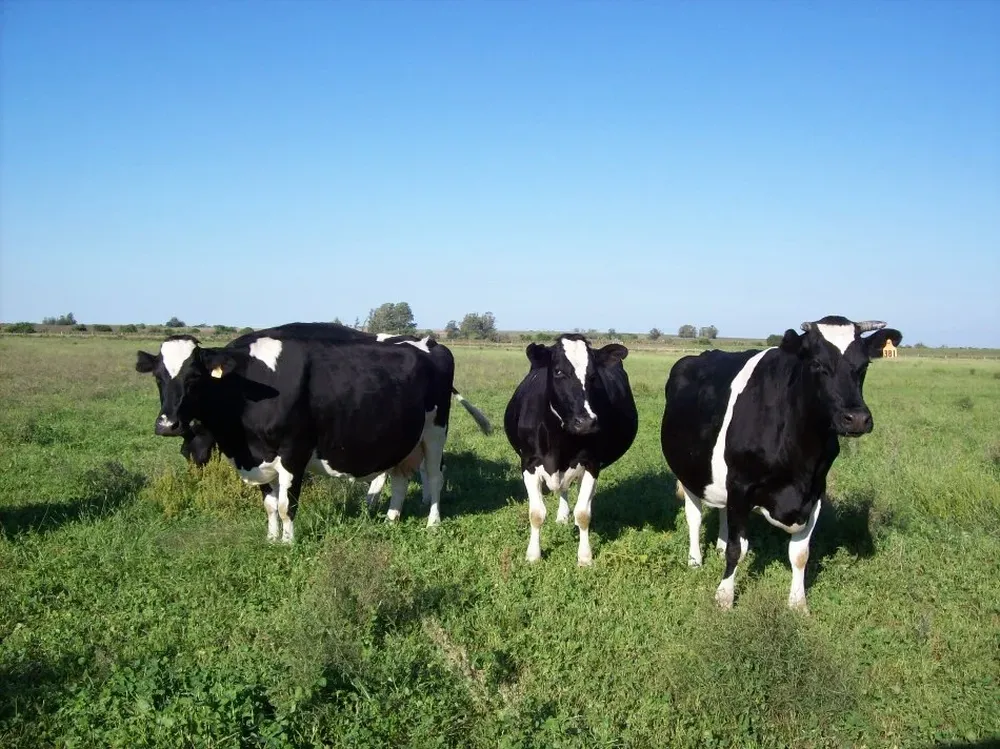 Se extenderá una exigencia ya obligatoria en la agricultura