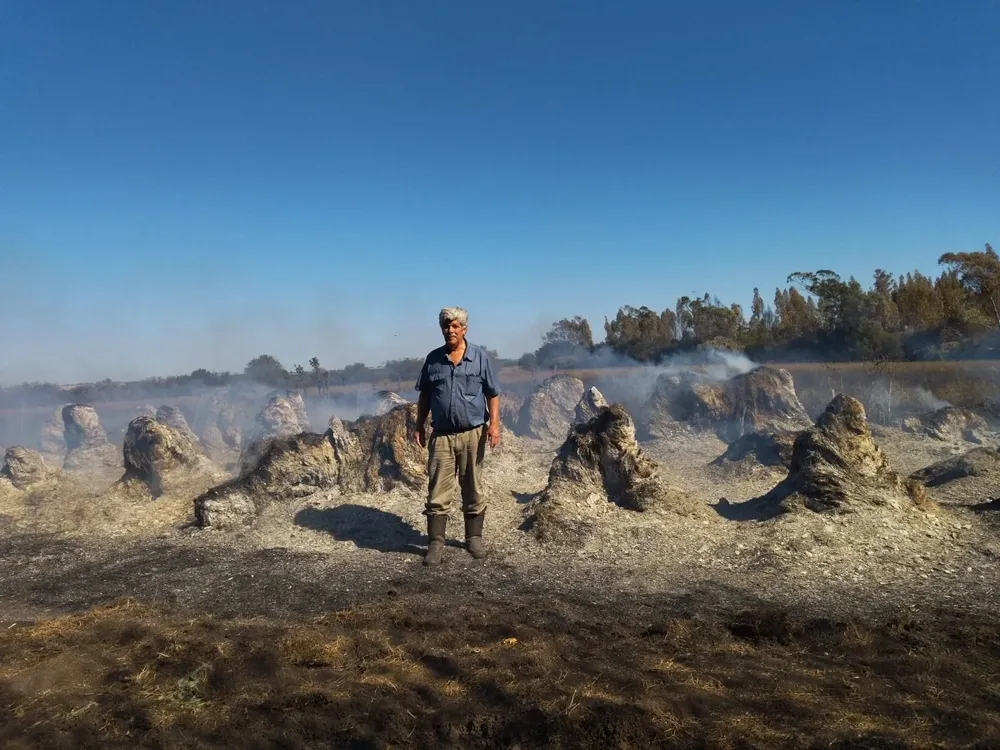 Justino Zavala entre los silopacks que se quemaron en su campo.