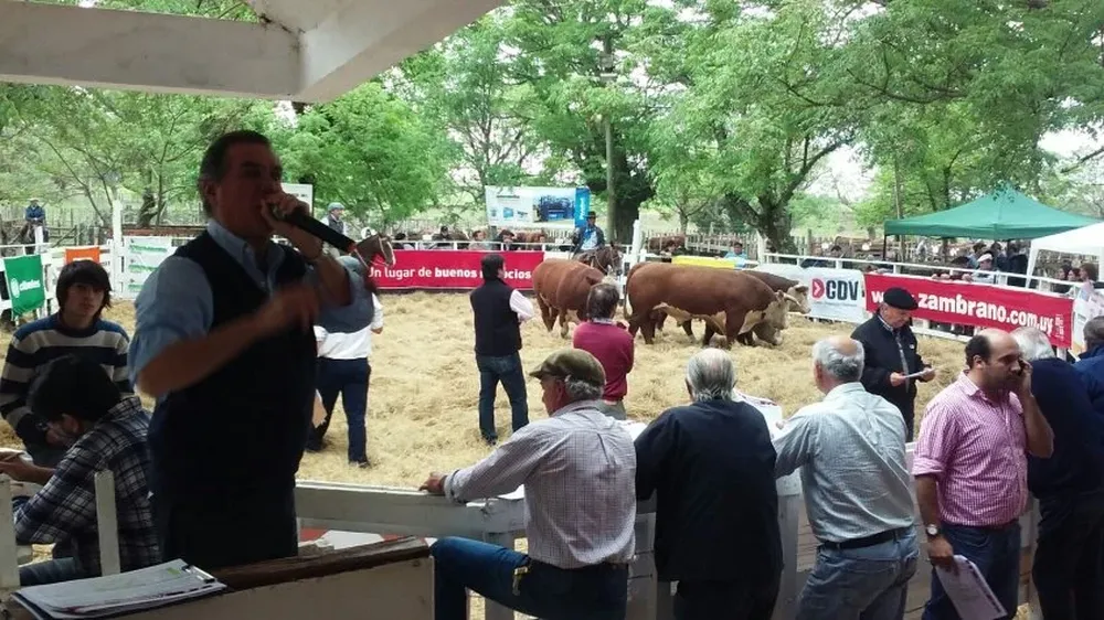 Remató Zambrano & Cía este martes en Durazno