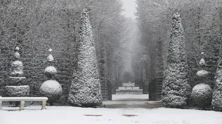 Los jardines del Palacio de Versalles, en Francia, pintados de blanco