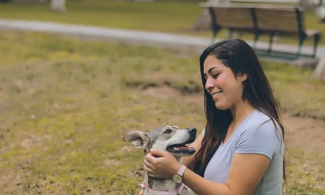 El cuidado de los perros ahora es una ley mejor formulada.