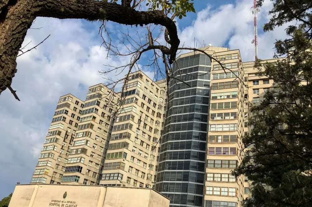 Embazadas se podrán vacunar en el Hospital de Clínicas