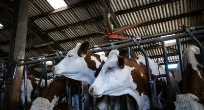 El Observador | 1658259711657.webp