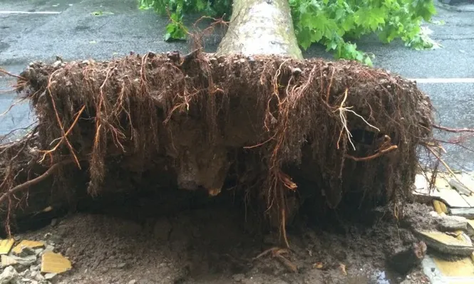 Tornados y ciclones en Uruguay son más comunes de lo que se cree