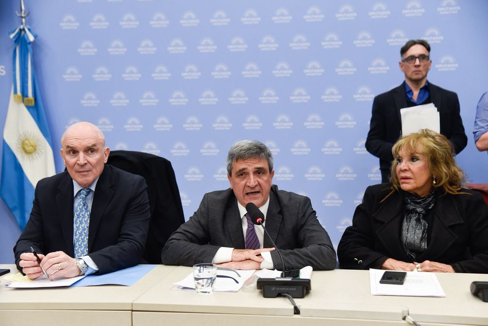 El diputado Pablo Yedlin presidió el plenario de Comisiones para tratar los pedidos de informe sobre le fentanilo contaminado.&nbsp;