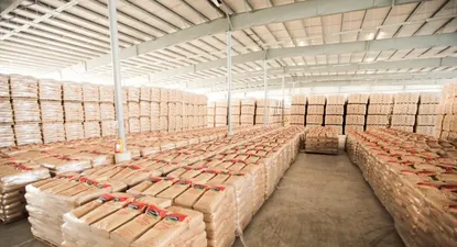 Empresarios más optimistas sobre el desempeño futuro de la economía