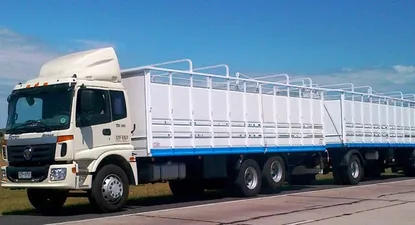 El Observador | 0015864463.webp