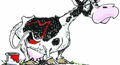 El Observador | 0010174895.webp