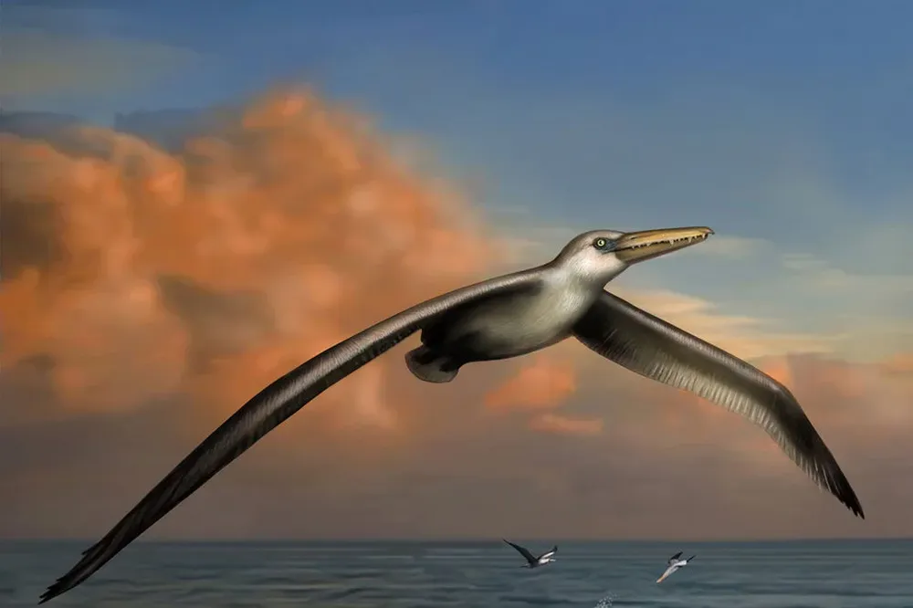 Concepto artístico del Pelagornis sandersi