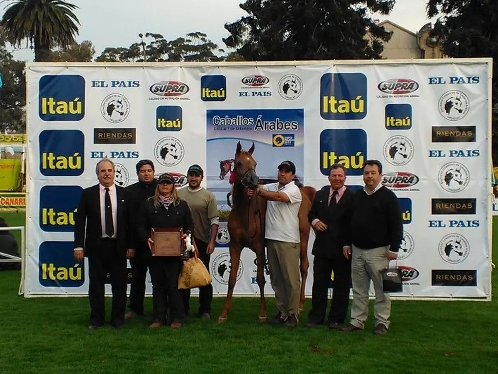 Kandinsky DC, de Haras Santa Cecilia, fue coronado Gran Campeón