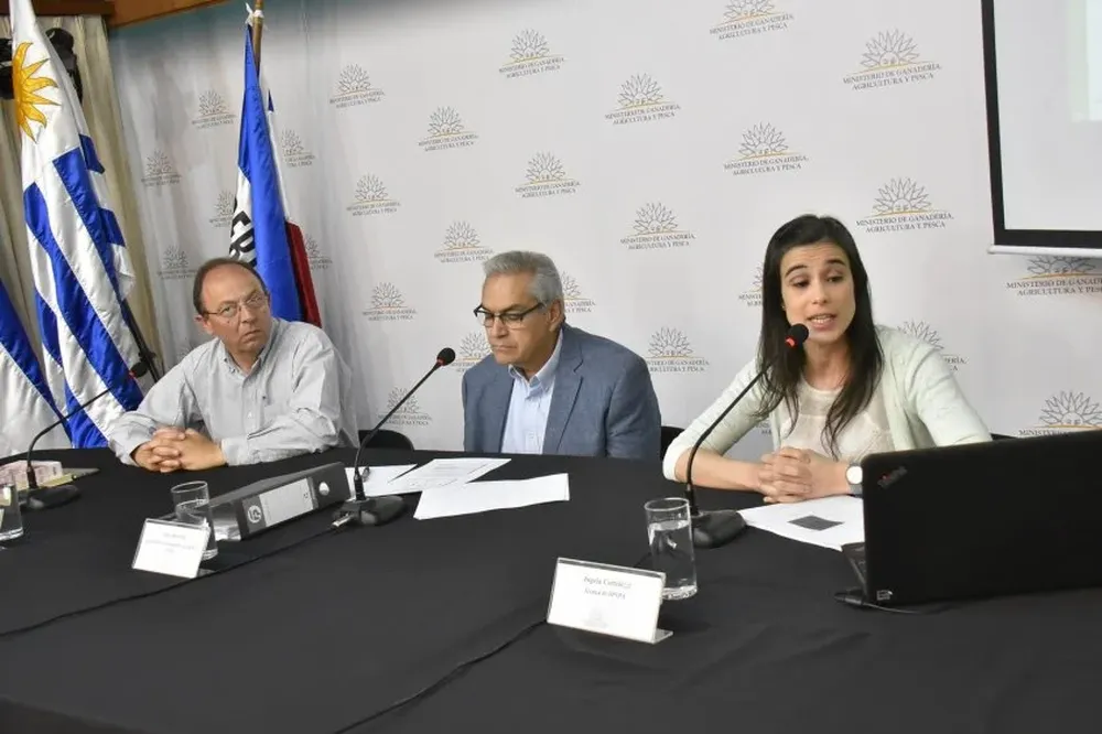 El PIB Agropecuario crecerá este año un 0,5% según estimaciones de Opypa