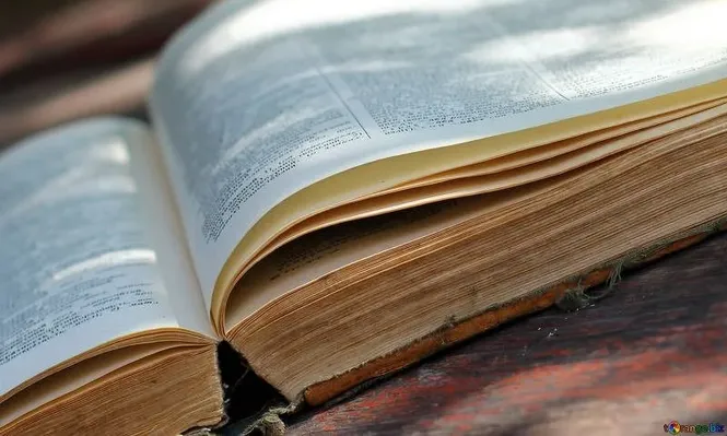 El diccionario de la RAE incorpora nuevos términos&nbsp;