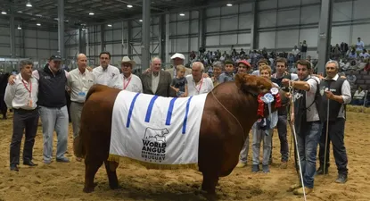 El Observador | e3fb6e57-8003-4b04-9dba-909b4294e6ad.webp