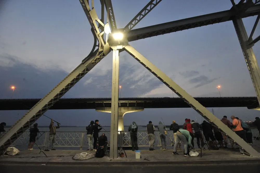 La Dinara resolvió una veda precautoria para la extracción de corvina negra.