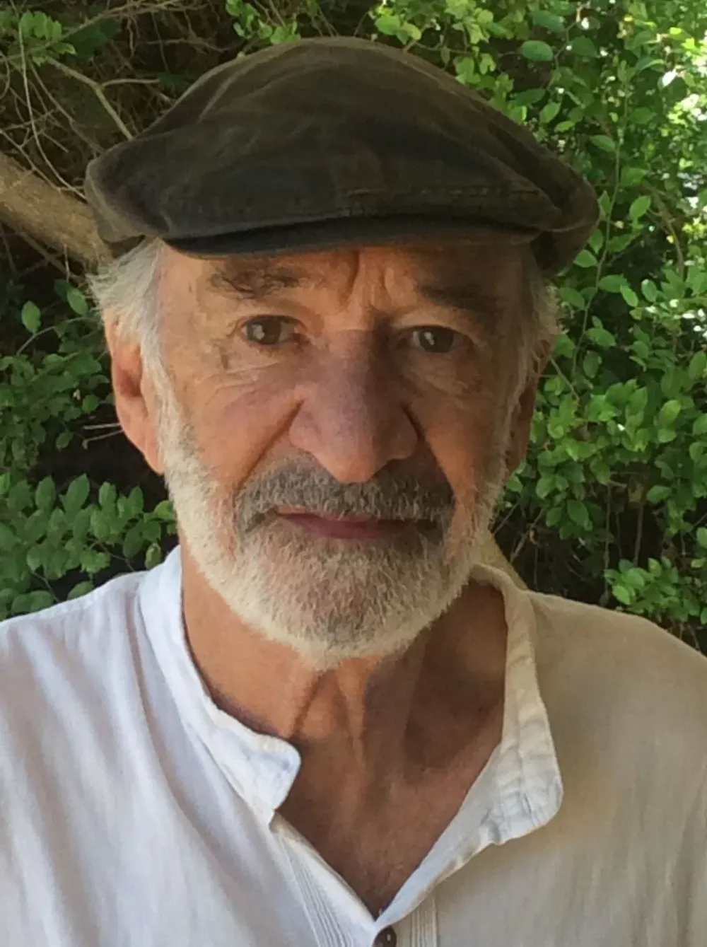 Daniel Panario
