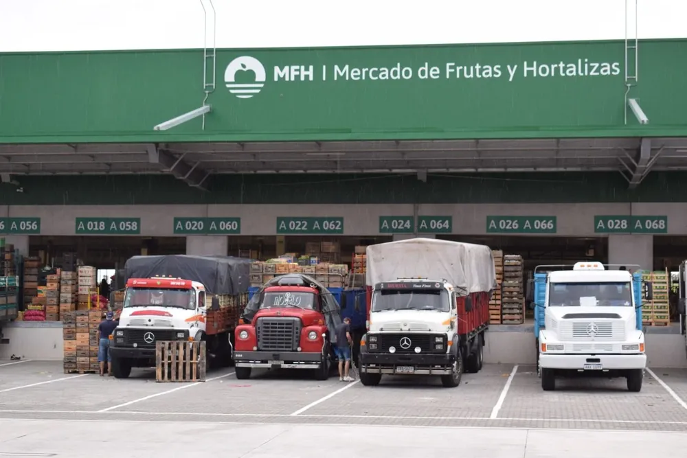 Frutas y verduras: octubre cierra con un volumen de oferta elevado y varios precios a la baja.