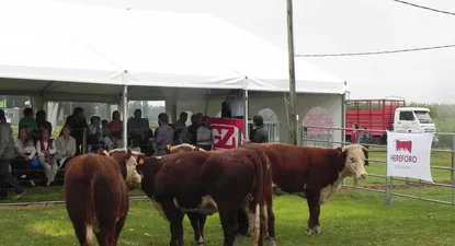 El Observador | El Lote Campeón HS en el momento que Zambrano lo negoció