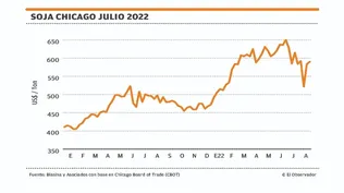 Los precios de los granos al ritmo del clima y de sucesos en Ucrania y China