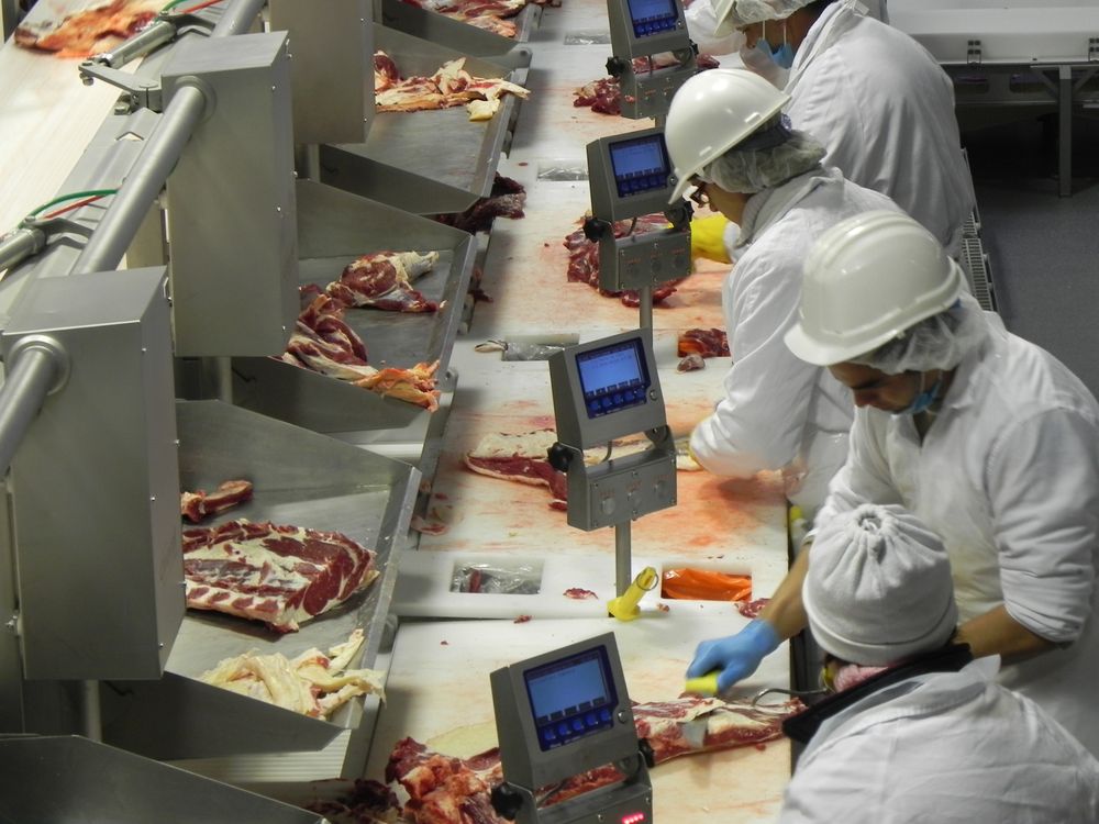 Frigoríficos: hubo faena de vacunos en 29 plantas industriales y de ovinos en 11 unidades.