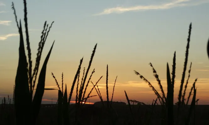 El desafío -70 + 70