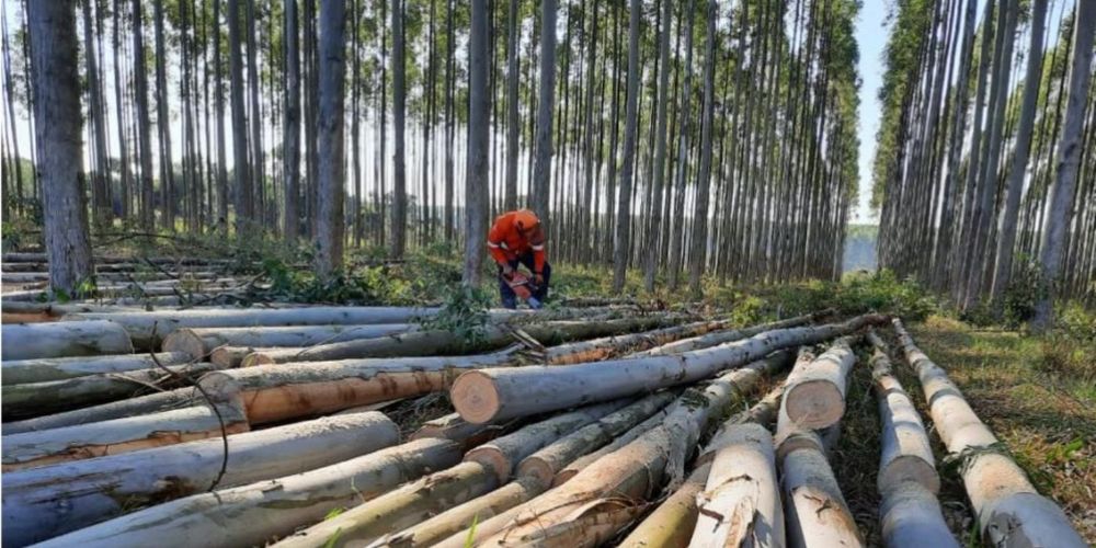 Paraguay anunció una millonaria inversión&nbsp;
