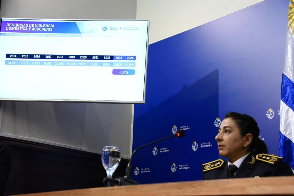 Presentación cifras delitos violencia doméstica (8).jpeg