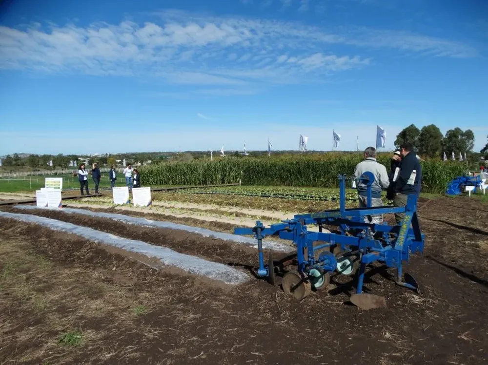 Los técnicos del INIA fueron permanentemente consultados.
