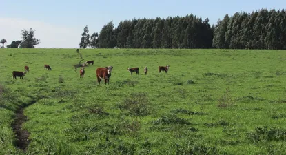 El Observador | IMG_3098.webp