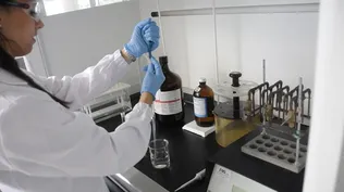 Biotecnología local es la que recibe menor apoyo estatal en la región