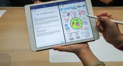 El Observador | 1587668268309.webp