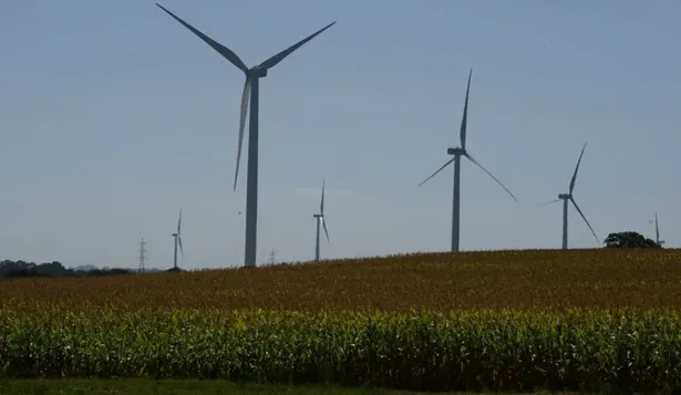 UTE compensará a pequeños ahorristas que apostaron a la energía eólica