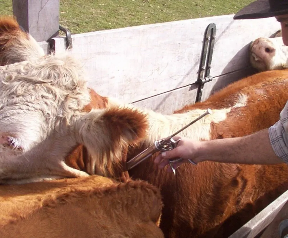 Destacan acciones de apoyo para desarropllar la prevención en sanidad animal