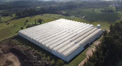 ponce de leon remata todo el equipamiento de laboratorio e invernadero para cannabis
