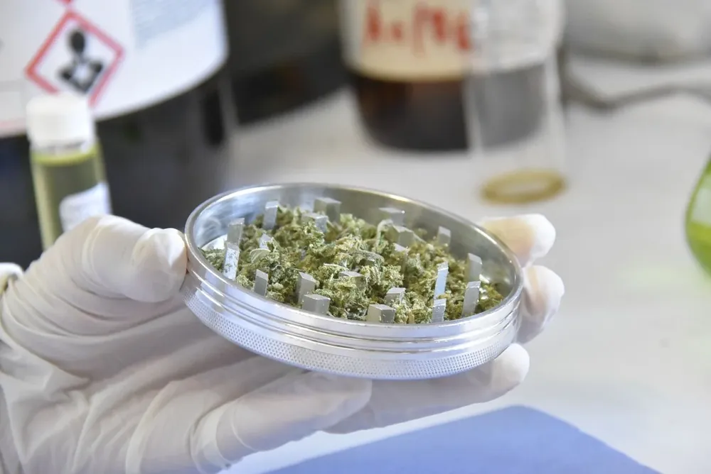 Se reclutarán 1000 voluntarios para el estudio