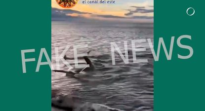 El Observador | WhatsApp Image 2024-07-27 at 08.57.13 (2).jpeg