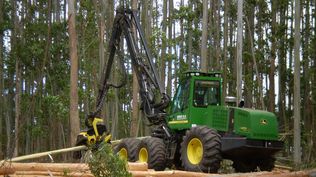 Ley forestal: aprobada en 1987, fue un mojón clave para instaurar una política de Estado que promovió el desarrollo forestal, con base en un notorio incremento de la superficie plantada.