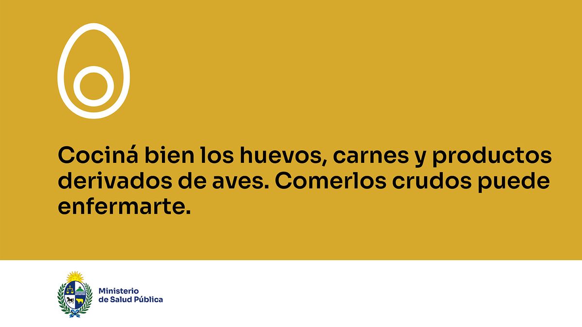Gripe aviar cerca de Uruguay: nuevos consejos y piden a trabajadores de granjas y plantas avícolas se vacunen