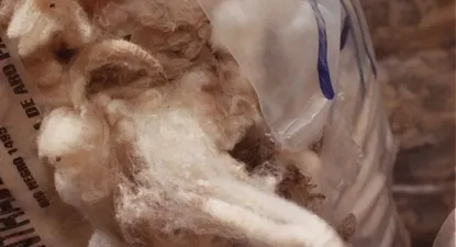 Mercado lanero: nuevas referencias de negocios locales.