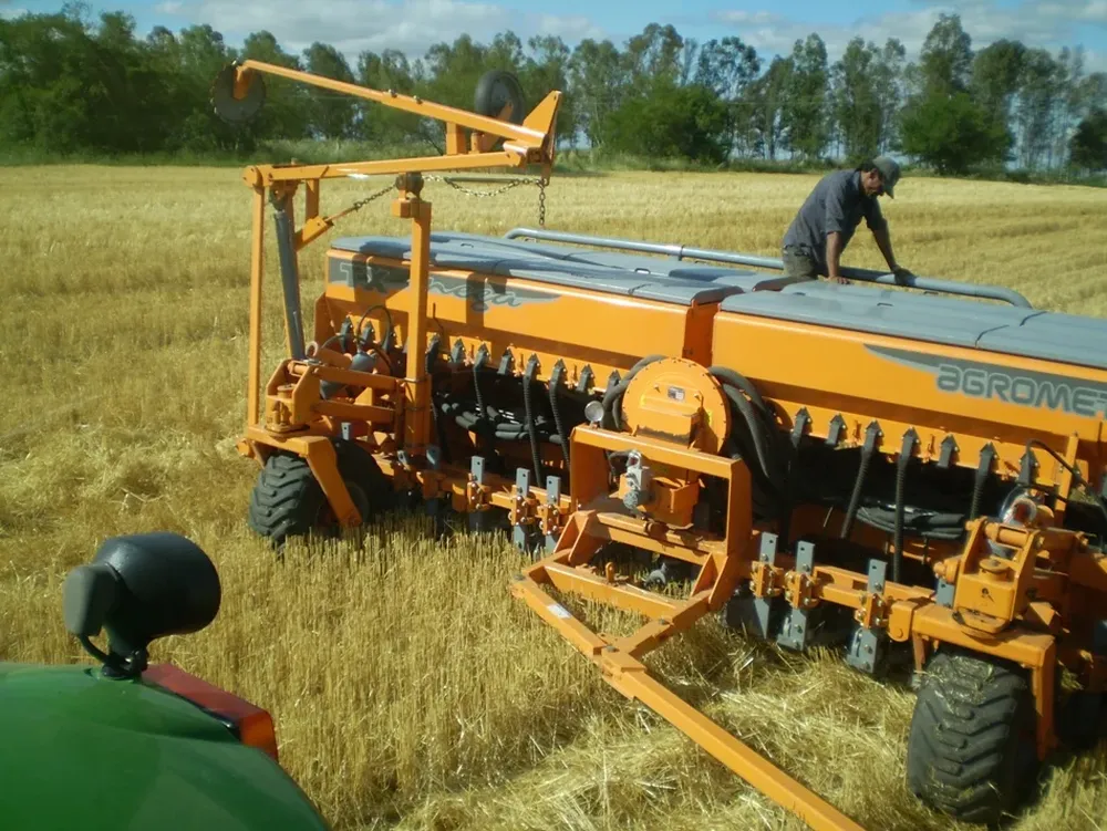 Siembra de soja en campos de Young